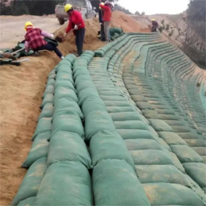 Sea walls revetments slope buttressing groynes breakwaters dykes reefs scour protection dunes riverbank protection geobag