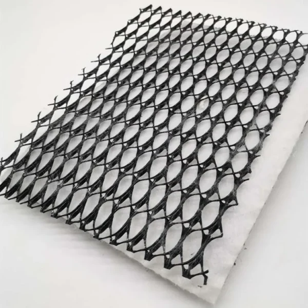 HDPE Mesh 3D Composite Drainage Composite Geo Net Geonet from  Geosynthetics