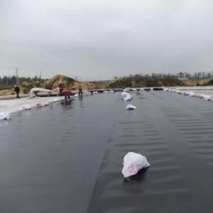 Geomembrane geomembranes HDPE PVC EVA LDPE LLDPE Chinese geotechnical industry manufacturers lianyi